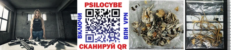 Галлюциногенные грибы GOLDEN TEACHER Злынка